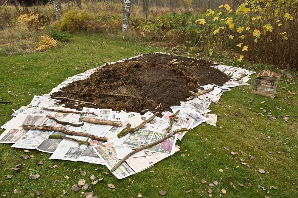 Olika sorters organiskt material kan läggas närmast tidningarna för att bidra med mull. Här grenar från skogspartiet bredvid.