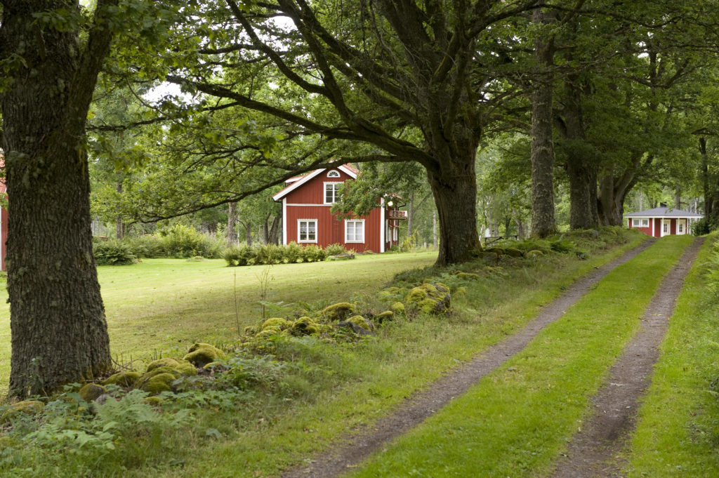 The Högsåsen Nature Reserve and Hiking Centre